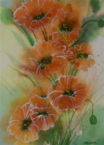 Poppies 1