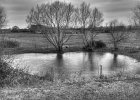 IMGP3361 tonemapped  Pond between Arlingham and the River Severn.