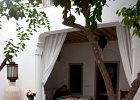 Marrakech:   Riad Les Orangers d&#39;Alilia. Central courtyard.